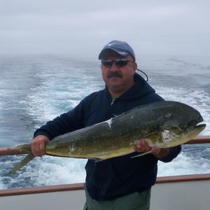 Meet your Posher, Ben